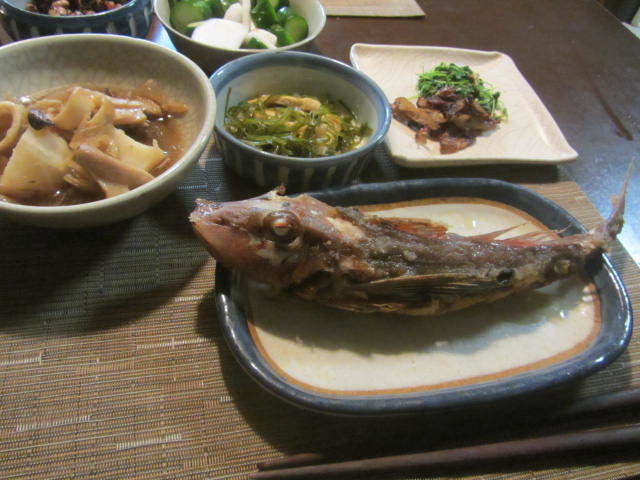 ホウボウのから揚げを食べたよ オアシスへの旅3 ホウボウのから揚げを食べたよ オアシスへの旅3
