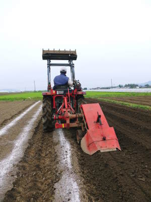 熊本県産!有機栽培の水田ごぼう 令和3年の先行予約受付スタート!は5月11日(火)より発送開始です!_a0254656_17224740.jpg