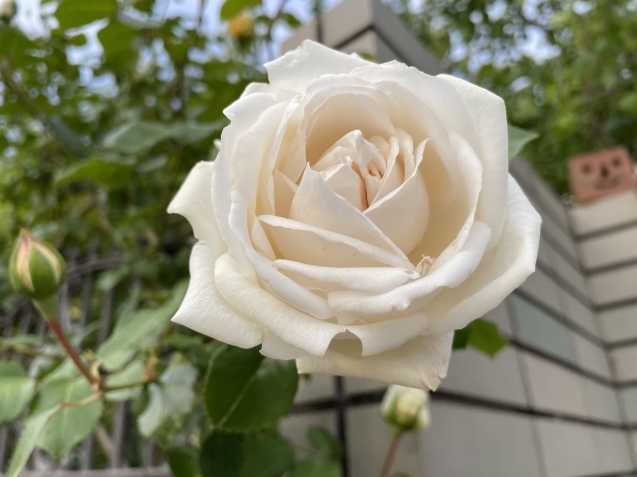 自戒。_a0394574_23152478.jpeg