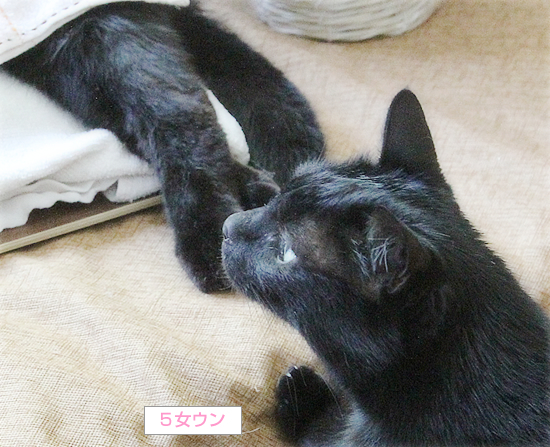 これからも・・・_a0389088_03020834.jpg