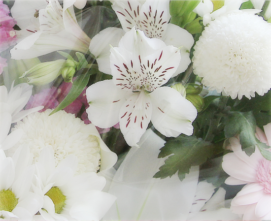これからも・・・_a0389088_03020848.jpg