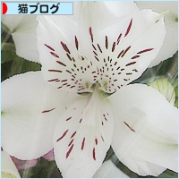 これからも・・・_a0389088_03020871.jpg