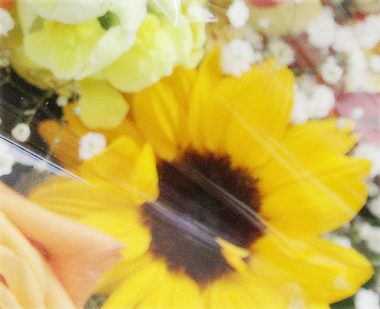 これからも・・・_a0389088_03020888.jpg