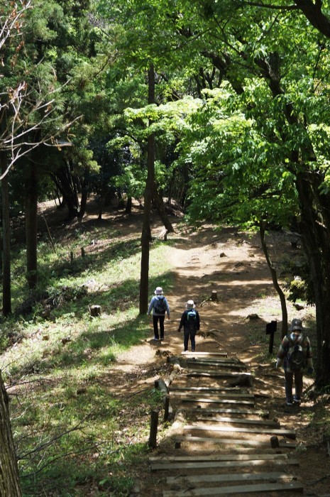 ■ウォーキング【七沢森林公園風景再び　私は三度ですが＾０＾】_b0033423_23084773.jpg