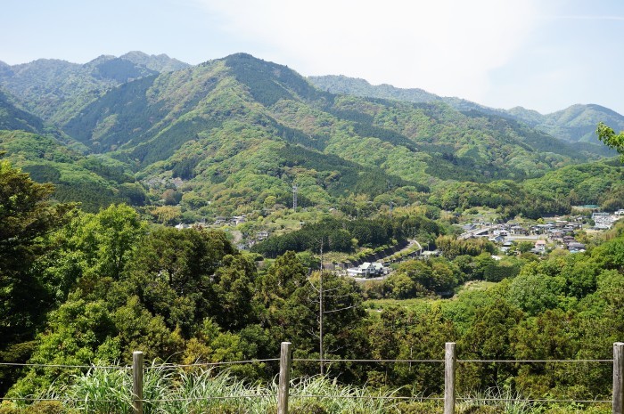 ■ウォーキング【七沢森林公園風景再び　私は三度ですが＾０＾】_b0033423_23155356.jpg