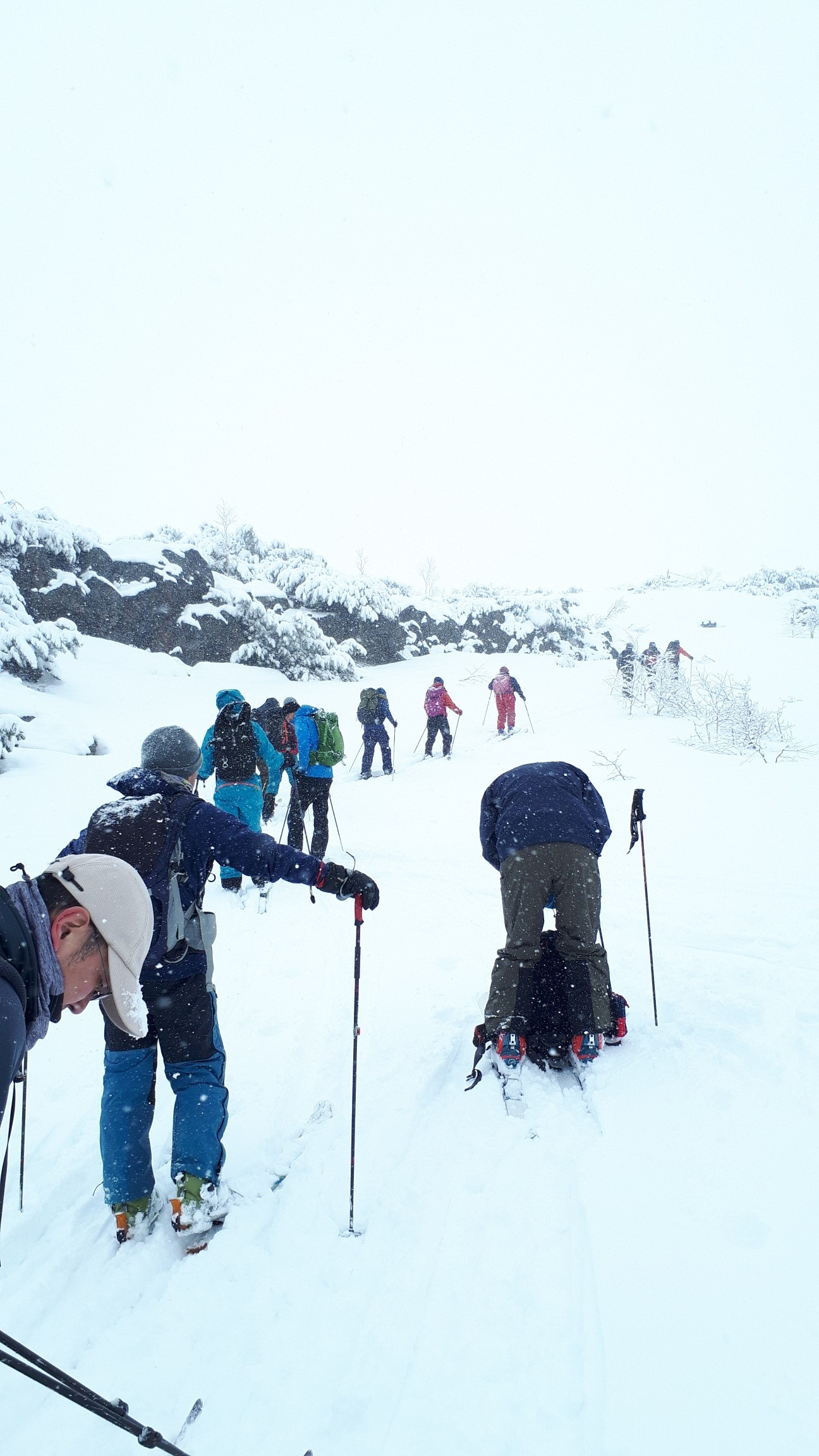 トライテレマークVOL.3 『 ステップソールツアー』ご参加ありがとうございました。_d0198793_15161556.jpg