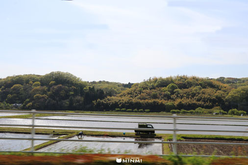 MINMIのお休み日記_c0140599_16255541.jpg