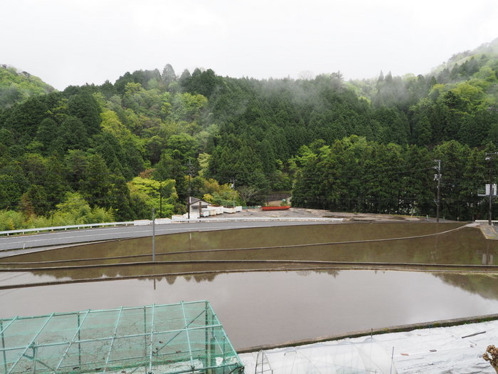 雨のち晴れ_c0116915_23280578.jpg