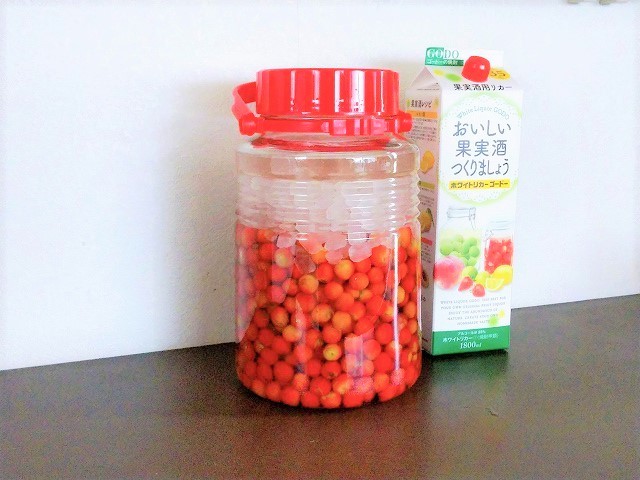 さくらんぼ酒作り 花の妖精 真弓 のひとりごと