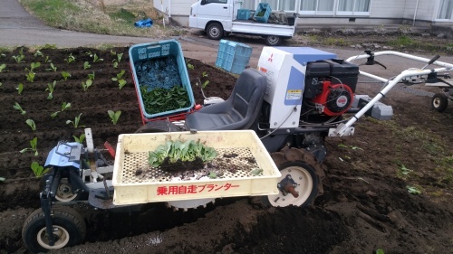 ２０２１年も植え付けスタート！_e0335330_19350702.jpg