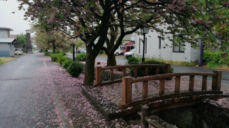 雨の一日　部屋暮らし_c0212083_21321949.jpg