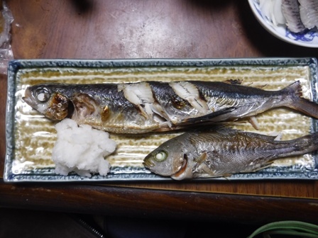 21 4月29日 昭和の日 飛魚の塩焼き うる目の酢漬け てるこのルーム2 21 4月29日 昭和の日 飛魚の塩焼き うる目の酢漬け てるこのルーム2