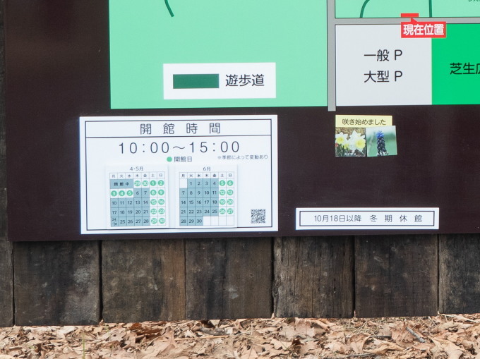 静かに始まったG.W.・・今日から中札内美術村が開館!_f0276498_18541232.jpg