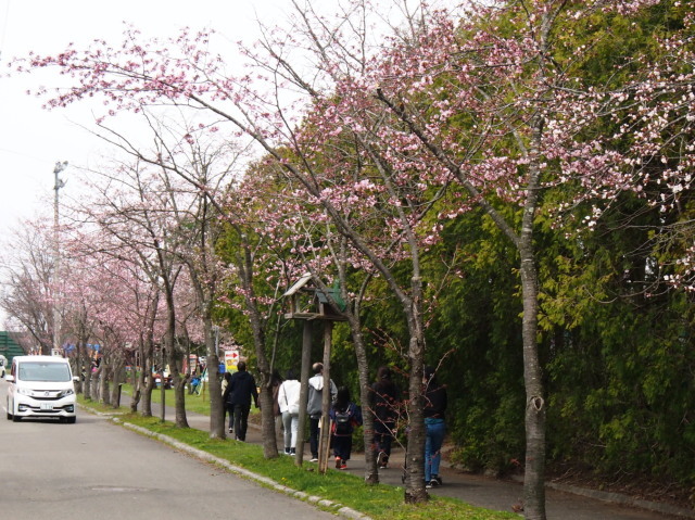栗山公園_c0360399_21060049.jpg