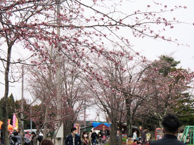 栗山公園_c0360399_21065115.jpg