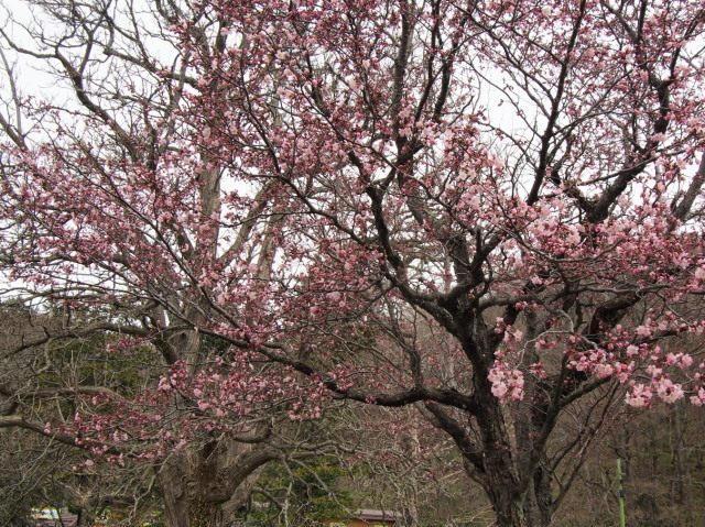 栗山公園_c0360399_21114614.jpg