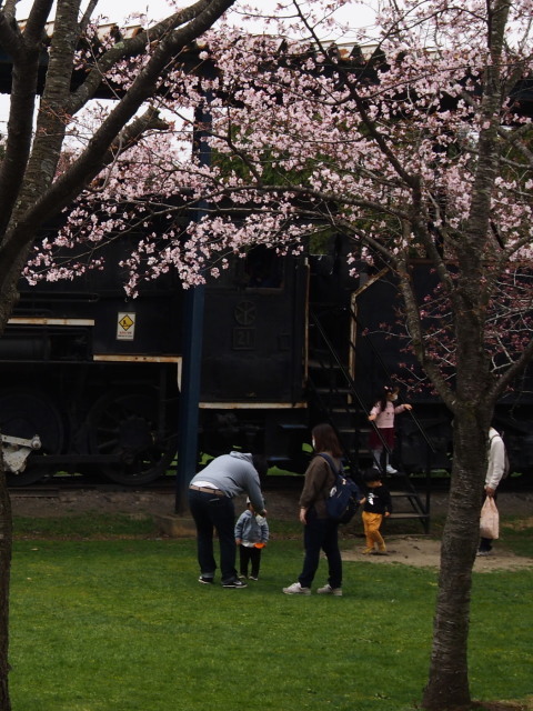 栗山公園_c0360399_21164552.jpg