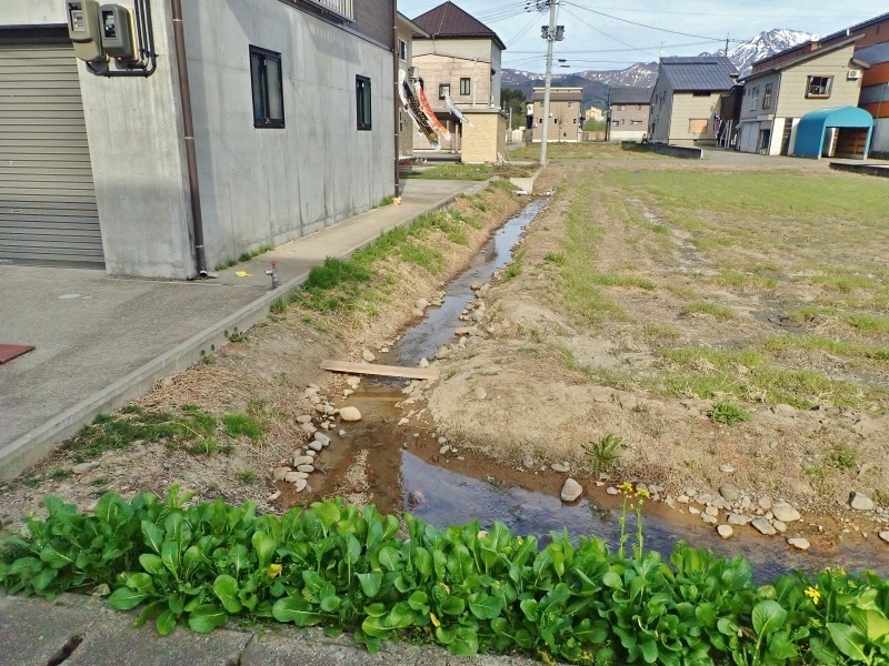 区画整理地区の水田と水路を見に出掛けました_c0336902_20480687.jpg