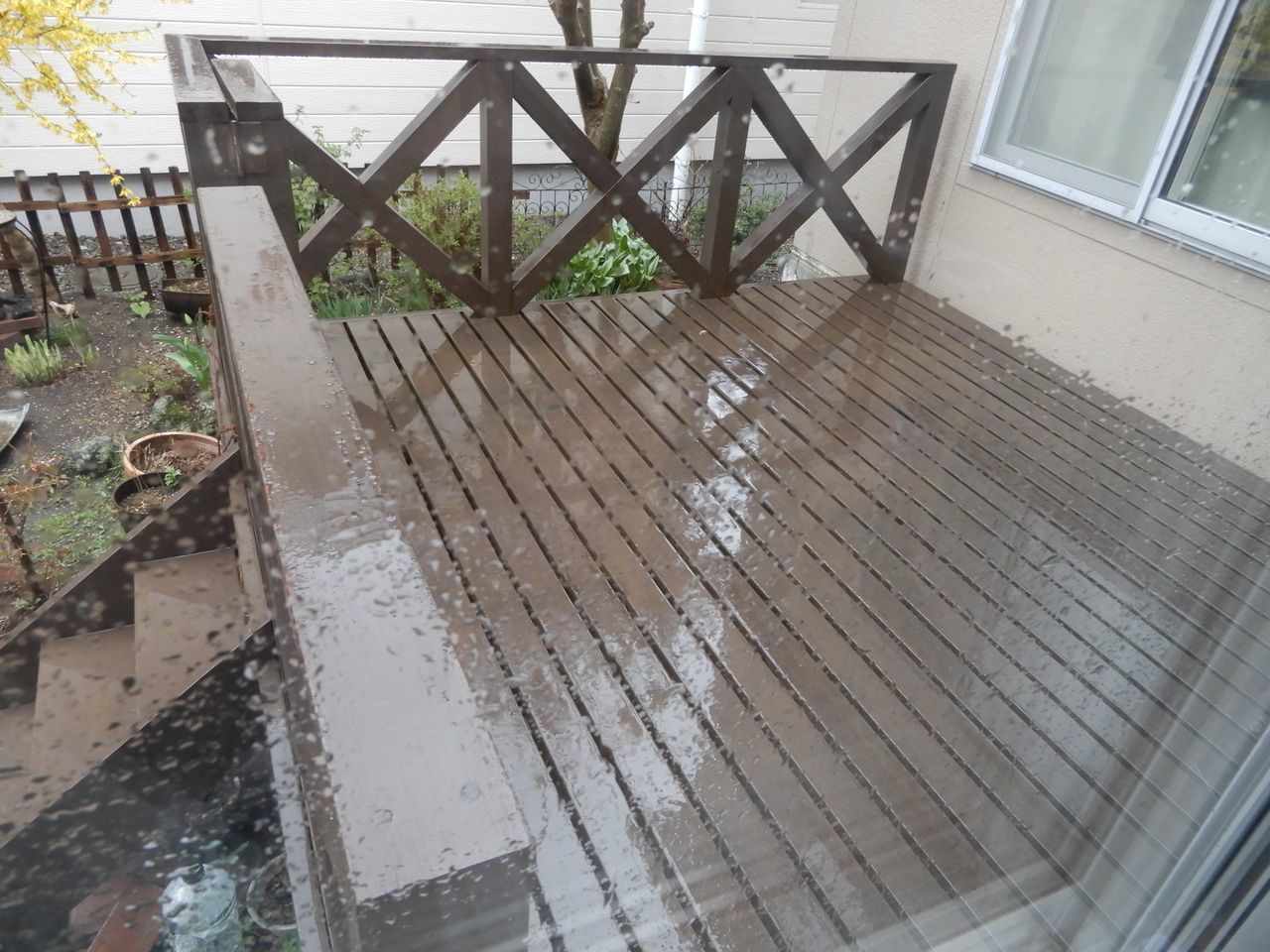 冷たい雨が降り続く_c0025115_21570535.jpg