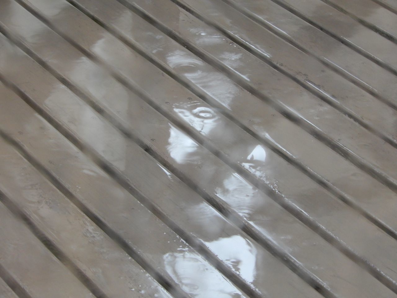 冷たい雨が降り続く_c0025115_21572340.jpg