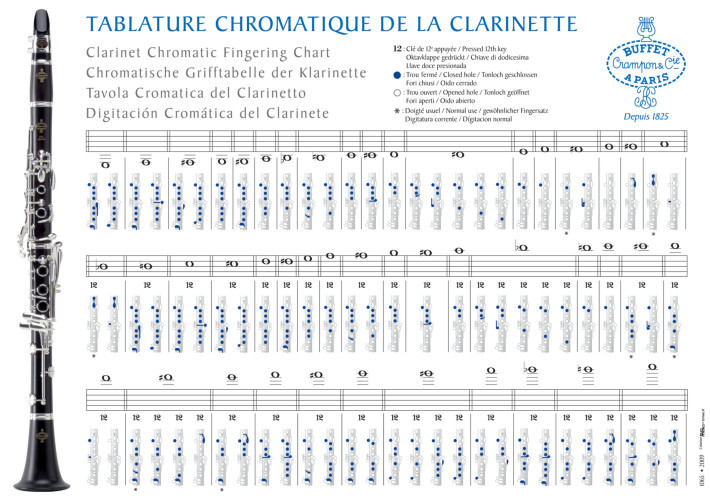 写真で見る残念なクラリネット図鑑 ファイル４０ Virtuosismo Strumentale Dell Ottocento １８００年代の忘れられた器楽作品