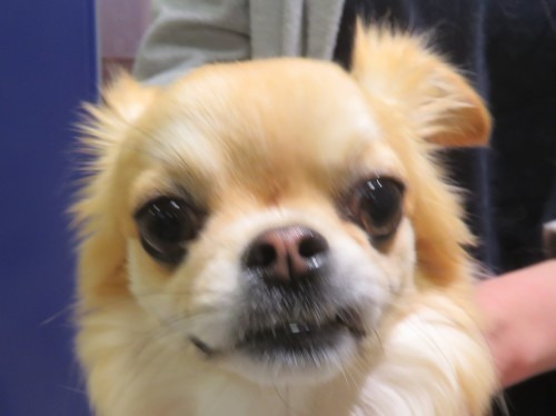 4 月 30 日の写真_c0174644_09590308.jpg