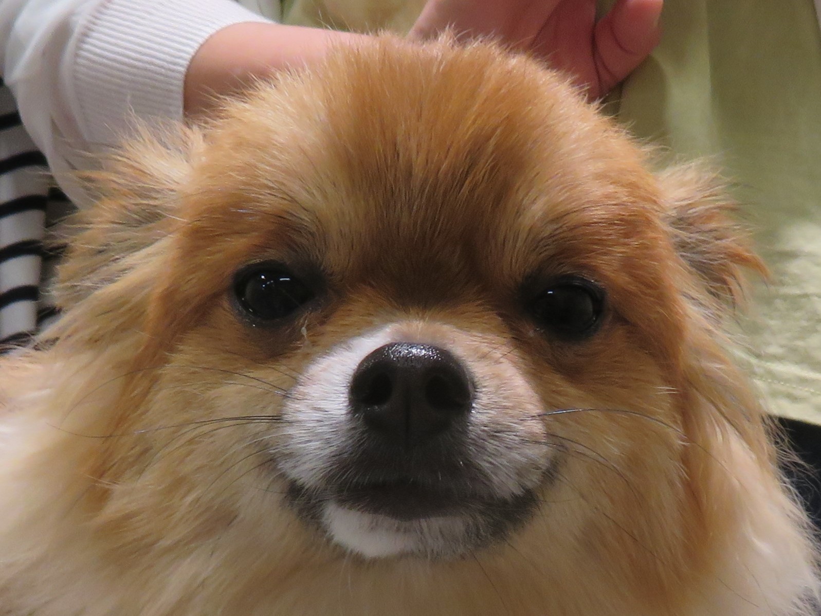 4 月 30 日の写真_c0174644_17190584.jpg
