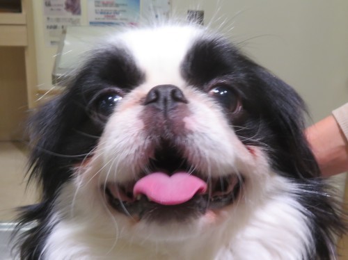 4 月 30 日の写真_c0174644_19513540.jpg