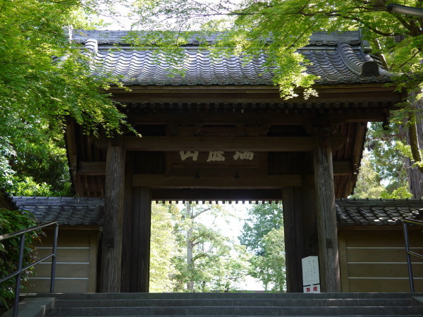 鎌倉円覚寺 猫のしぃちゃん 散歩と花と猫が好き 鎌倉円覚寺 猫のしぃちゃん 散歩と花と猫が好き