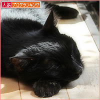 永眠の一日前_a0389088_03363708.jpg