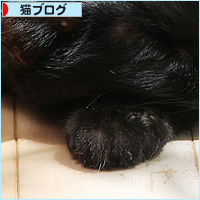 永眠の一日前_a0389088_03363724.jpg