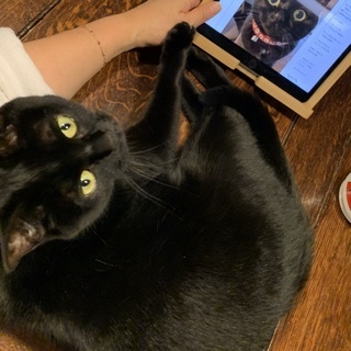 キルト&#128150;&#128151;_e0358096_20135628.jpeg