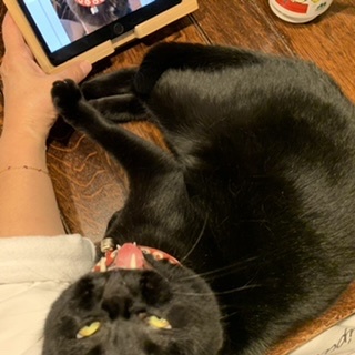 キルト&#128150;&#128151;_e0358096_20140779.jpeg