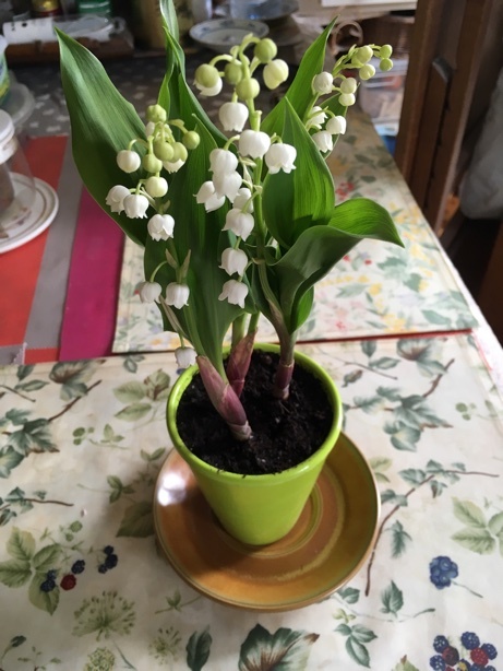 1er Mai Le Muguet Est Arrive プルミエ メ フランスの五月一日は ル ミュゲ エ アリヴェ 可憐なスズランの白い花がやってくる 波多野均つれづれアート パート2