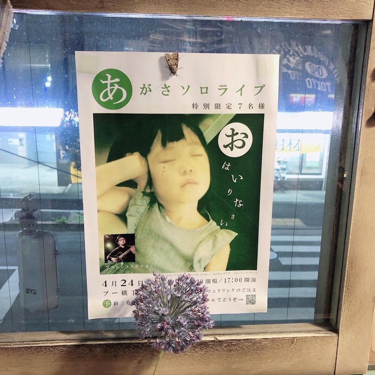 西日を浴びながら_e0303005_05203483.jpg
