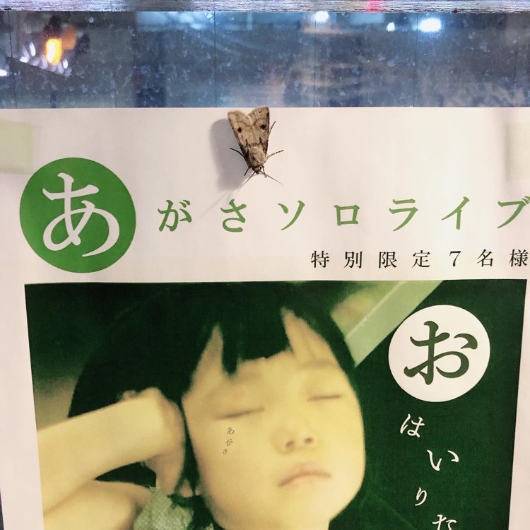 西日を浴びながら_e0303005_05204198.jpg