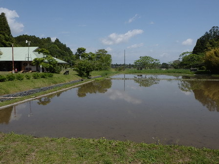 五連休の初日です_a0123836_17052038.jpg