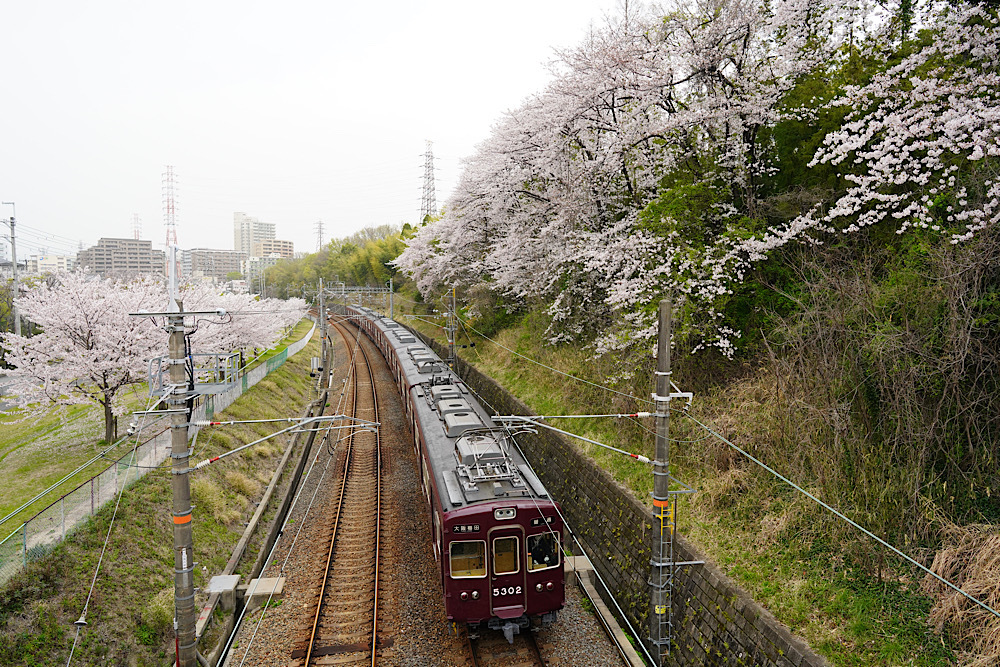 桜と阪急 千里線編 鉄男の部屋