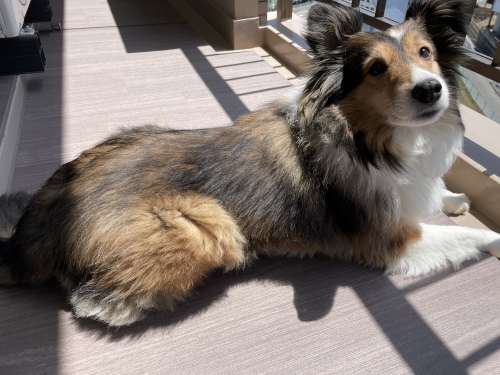 トレーニングブログ_f0357682_00400362.jpeg