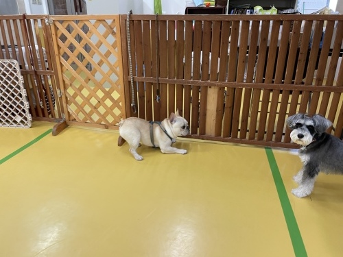 トレーニングブログ_f0357682_00480073.jpeg