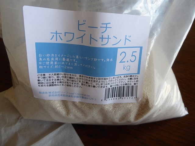 おかやどかりの砂替えしたよ うちのペットは おかやどかり ルソイの半バックパッカー旅