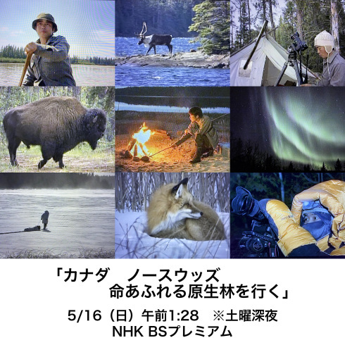 Nhk Interview Nhkbs Wildlife Hidehiro Otake Photography News 大竹英洋フォトグラフィー