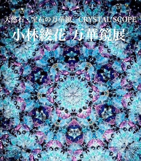 小林綾花さんのワークショップ&作品展のお知らせ_e0305824_13551918.jpg