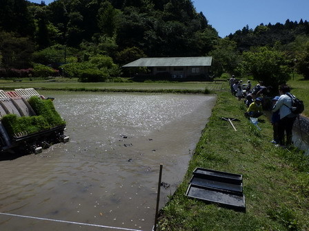 田植え_a0123836_17123336.jpg