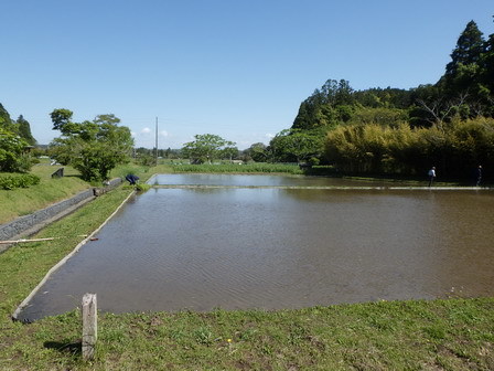 田植え_a0123836_17123486.jpg