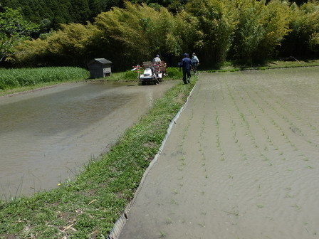 田植え_a0123836_17134641.jpg