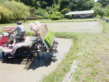 田植え_a0123836_17134704.jpg