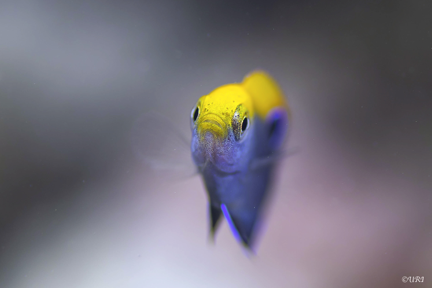 撮りたいものを最高のタイミングで_e0158261_12063350.jpg