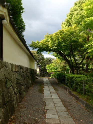 皐月新緑 端午の節句_b0153663_15171831.jpeg