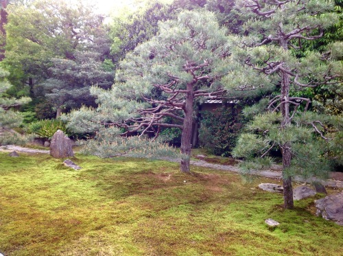 皐月新緑 端午の節句_b0153663_15173122.jpeg